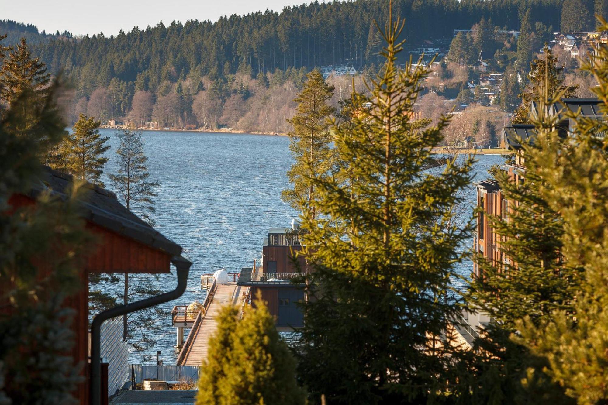 Vila Rozinka Lipno Lipno nad Vltavou Esterno foto