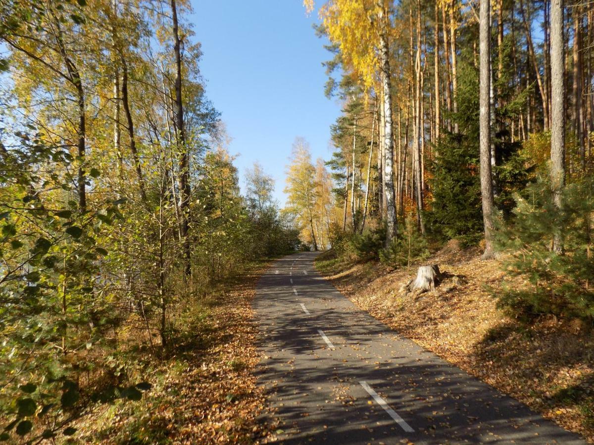 Vila Rozinka Lipno Lipno nad Vltavou Esterno foto