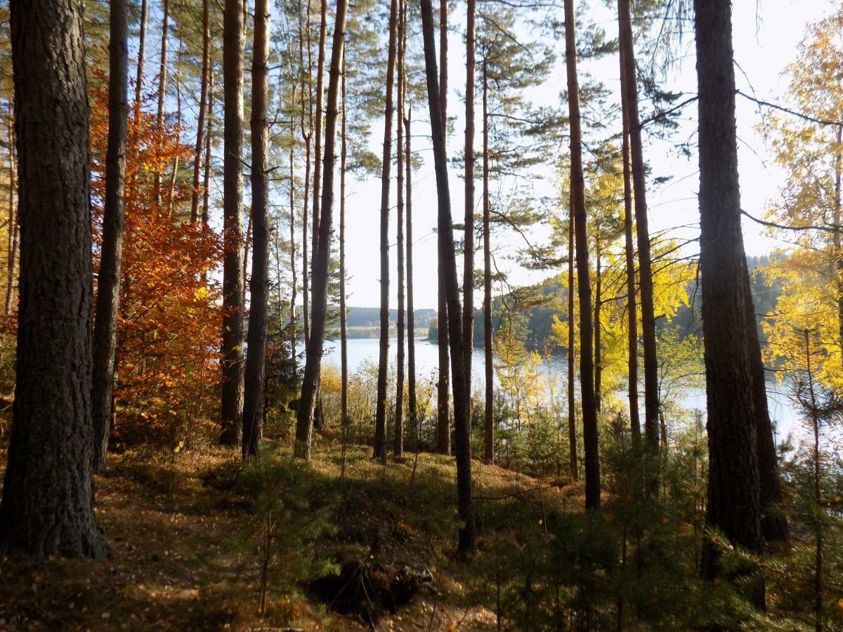 Vila Rozinka Lipno Lipno nad Vltavou Esterno foto